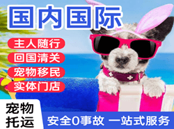 黑河瑷珲航空快运国际宠物托运 【国